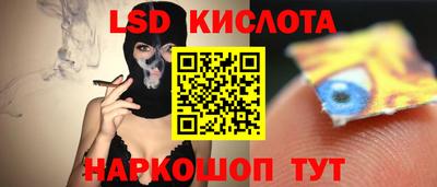 дживик Камышлов