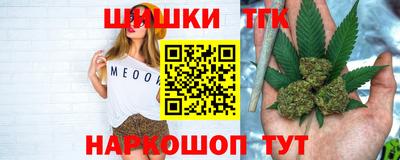 дживик Камышлов