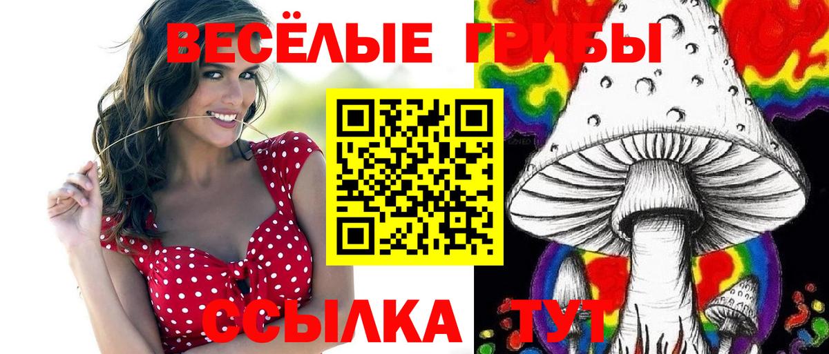 Лыткарино  Псилоцибиновые грибы мицелий  Вход с VPN 